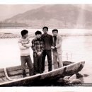 고달리다리 이미지