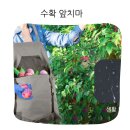 삼은농장 | 수확 앞치마 과일따기 빅포켓 과수원 수확기 캥거루 주머니