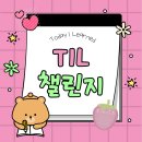 B.D ENG | [TIL 챌린지] 1-1. 프로그래밍 기초 (1주차)