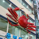 제철대게전문점