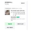 리안위그 | 신생아 육아 허리·무릎 지켜준 효자템, 리안 드림콧 실사용 후기