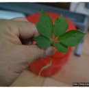 군산농업협동조합 이미지