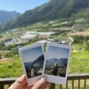 홀리가든민박 이미지