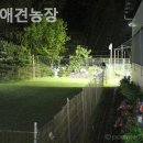 하빈애견농장 이미지