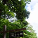 소나무정원 이미지