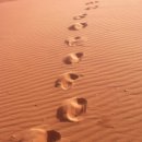 ........................................ 이미지