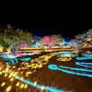 (주)현대남부서비스 이미지