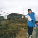 타조사육장 이미지