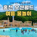 홍천 비발디파크 오션월드 아이와 다녀온 후기｜준비물, 할인, 파도풀까지 총정리