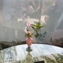 수라운지 | [서울 성수동2가] 올리브영N 성수 올리브 멤버스 라운지 이용 후기 성수동 핫플 추천