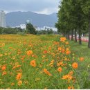 낙동강관리본부 맥도생태공원 5 이미지