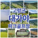 대가야읍 파크골프장 이미지