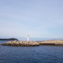 어쩌다제주 이미지