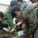 복지아파트 이미지