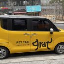 도그마 펫살롱 이미지