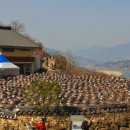 광양농원 이미지