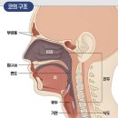 고의원 | 비염인들의 성지 양주 고의원 방문후기
