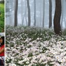 일순목장 이미지