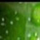 치아나라234치과의원 이미지