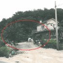 지내고탄로 이미지