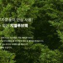 티타늄치과기공소 이미지