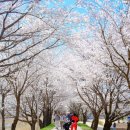 세븐일레븐 파주파평점 이미지