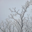 새부산카 이미지