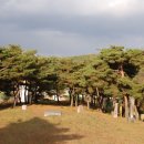 가좌리 석조약사여래좌상佳佐里 石造藥師如來坐像 이미지