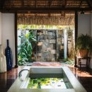 파라다이스 코브 이미지