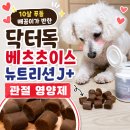 아이지케어 | 10살 푸들 닥터독 베츠초이스 뉴트리션 J+ 강아지 관절 건강 영양제 후기