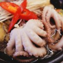 바보낙지 이미지