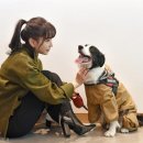 아라에너지 이미지