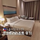 코코트리 | 보홀 가성비 숙소 추천 벌레 없는 코코트리리조트 조식 셔틀버스 내돈내산 이용 후기