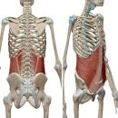 코어&밸런스트레이닝센터 이미지