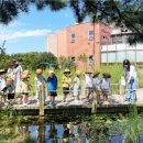 풍암생태야생태 이미지