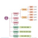 풍악산농장 | [신바람 이선생] 신라의 통일과 남북국 시작.