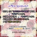 정사진관아르떼웨딩