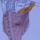 스테이 피트니스 이미지