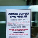 (주)선재해림풀빌라 | 인천 선재도 선재해림 풀빌라 숙박없는 야외수영장 후기