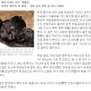 새끼에 먹이 다 내주고… 못먹어 숨진 지리산 반달가슴곰 이미지