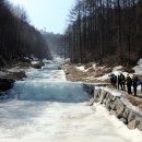 겨울 끝자락(다물2교→△890m봉→갑둔고개→응봉산→신수리→소뿔산→신수리) 이미지