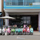 장원사슴목장 | 엉망진창 5박6일 대만 남부 여행 4일차 일정. 컨딩 버스투어, 용반공원, 어롼비공원, 사도, 헝춘고성...