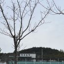 [캠핑일기] 2박3일 애견동반 캠핑, 포항 비손농장, 우트가르드, 영덕 대게, 캠핑장강풍