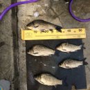 행복 낚시터 이미지