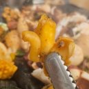 속초해안가 이미지