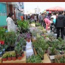 정남진장흥토요시장 이미지