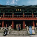 양천소방서 화장실(현장대응단) | 2022년 제야의종 타종행사 2023새해맞이 보신각교통정보