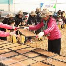 추팔1리마을회관 이미지