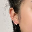 비크하우스 이미지