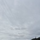 (주)짚글로벌코리아 | 추석 연휴에 떠난 보령 여행: ① 대천 익스트림 짚트랙, 하늘 위에서 바다를 만나다